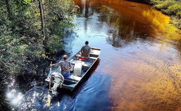 Comment aller dans les calanques sans voiture ?