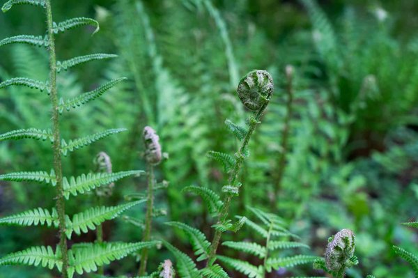 Où vivre une expérience immersive dans une ferme bio en Italie ?