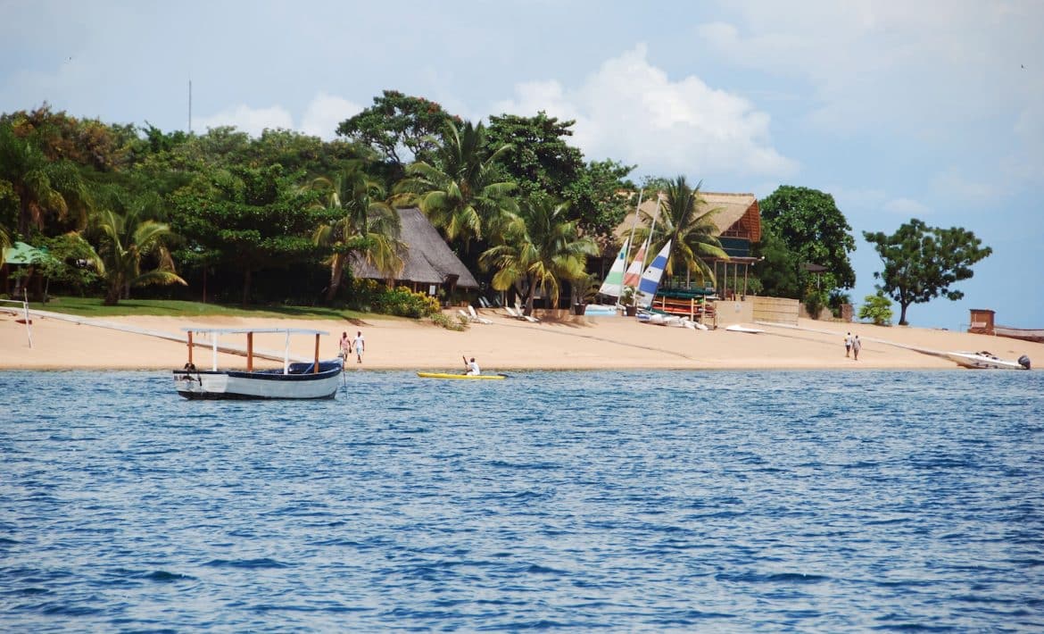 white boat on sea near palm trees during daytime