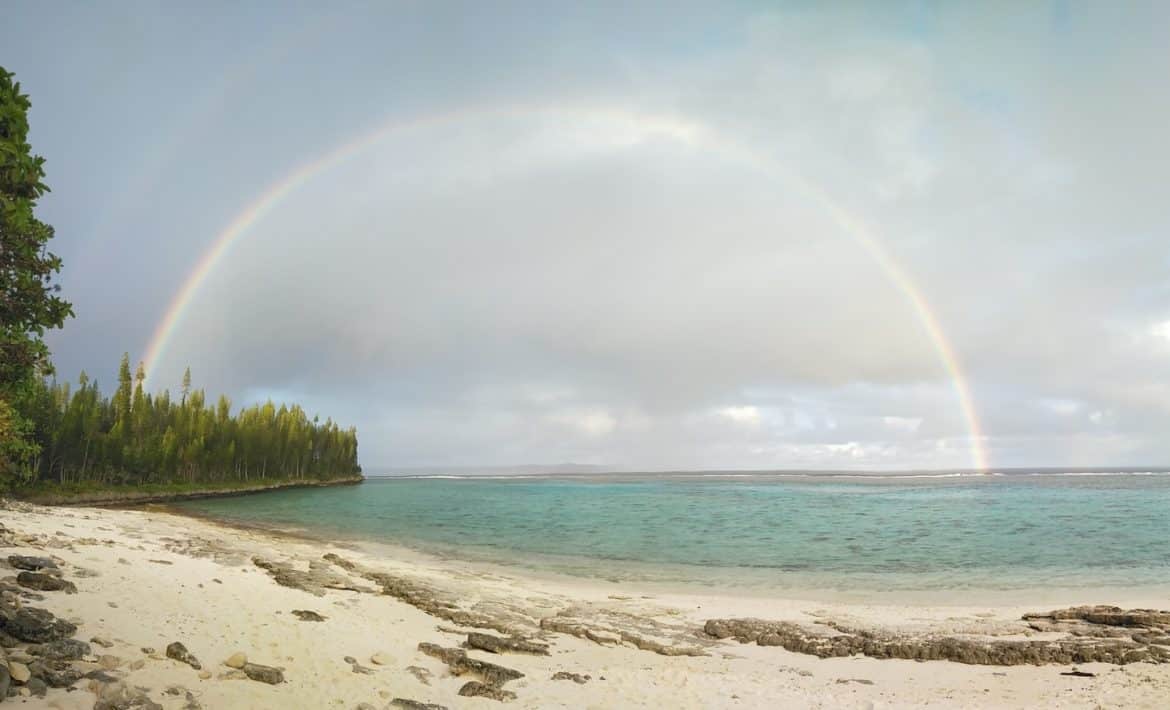 green trees on white sand beach during daytime