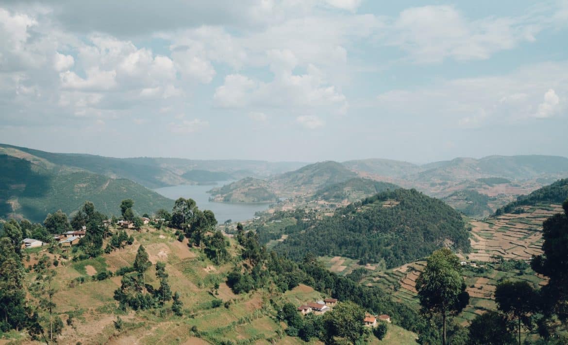 aerial photography of hills and trees