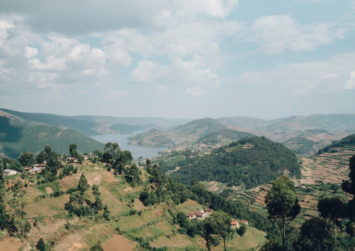 aerial photography of hills and trees