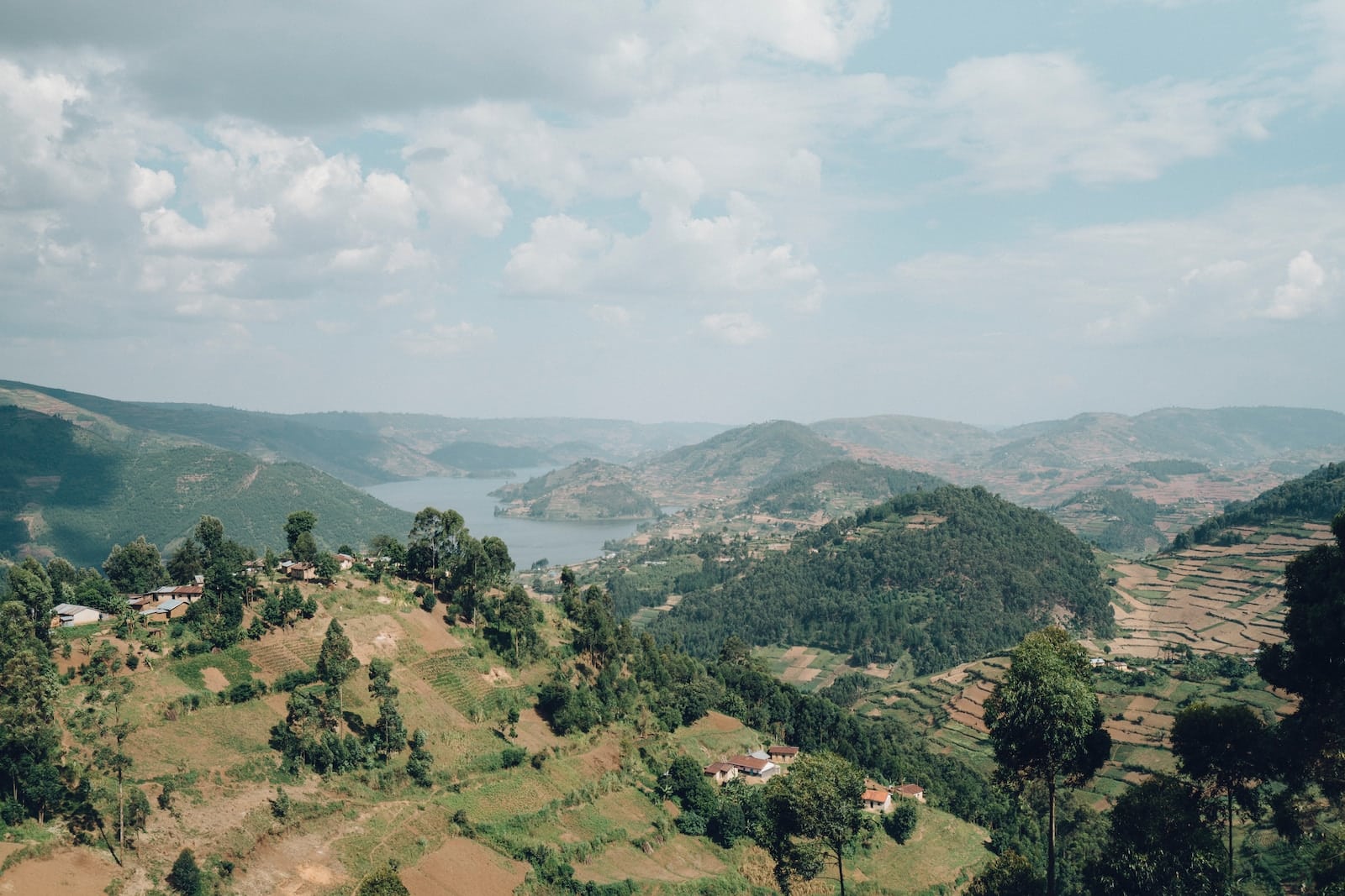 aerial photography of hills and trees